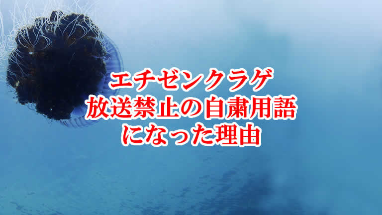 生き物の特徴や豆知識情報を中心に発信しております 生き物バイブル